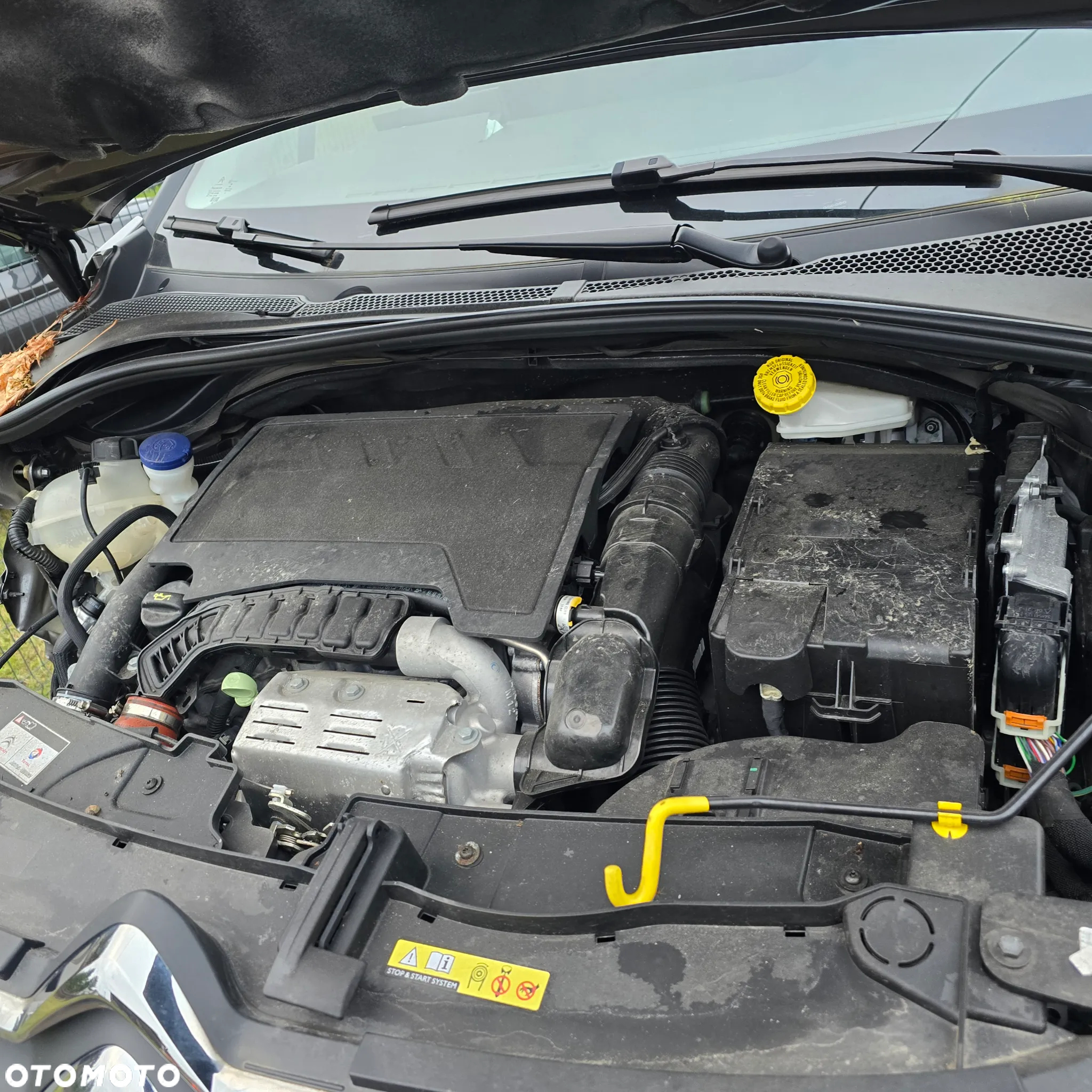 Citroën C3 Pure Tech 110 S&S EAT6 SHINE PACK - 17