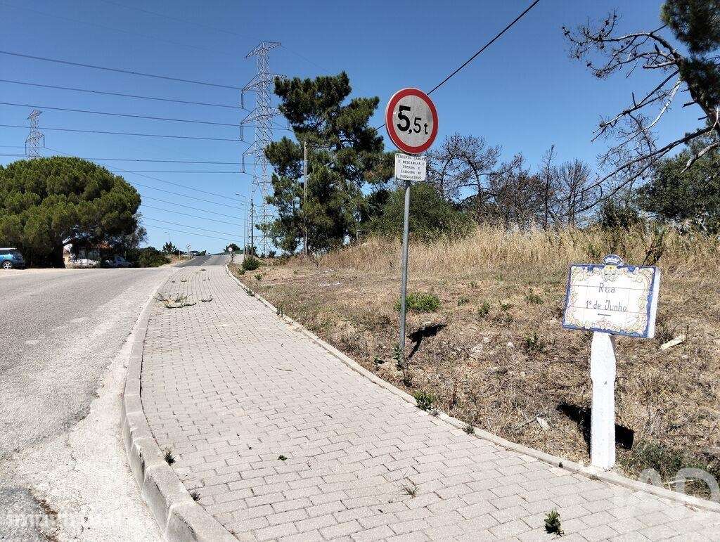 Terreno Agrícola em Gâmbia-Pontes-Alto da Guerra - Grande imagem: 4/8