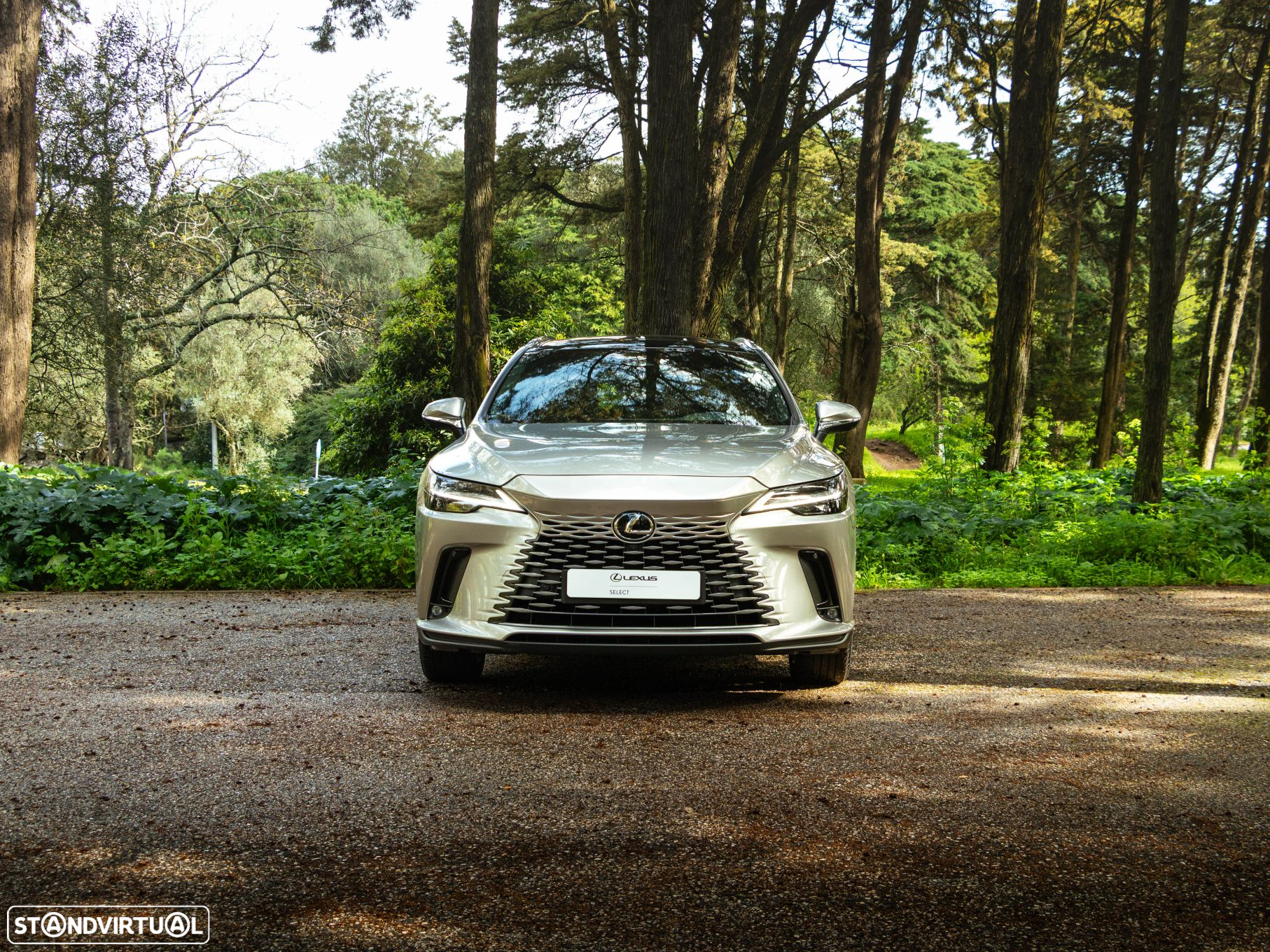 Lexus rx-450h - 5