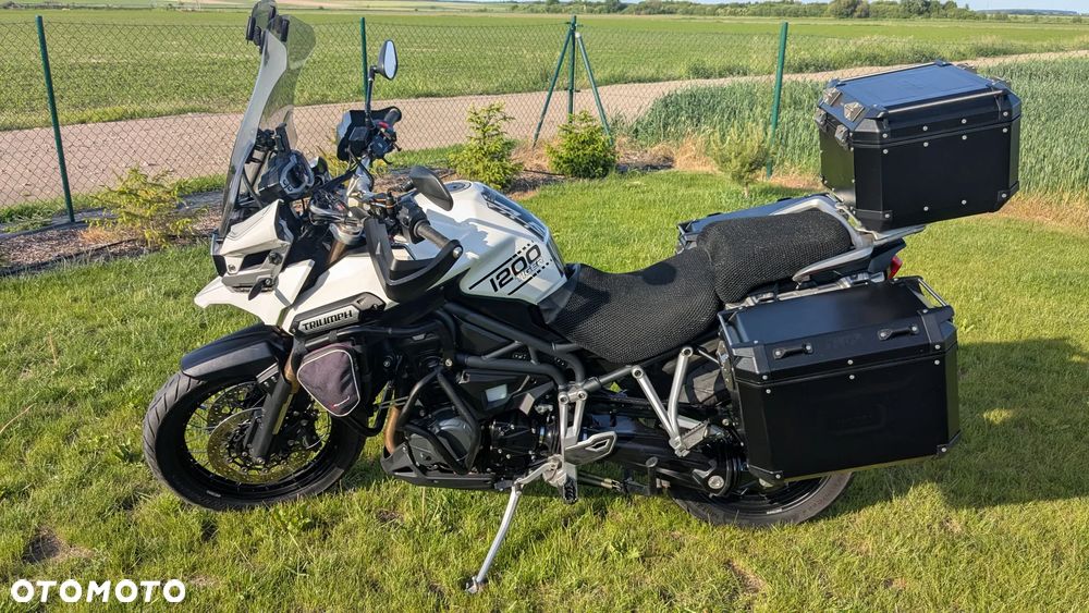 Triumph Tiger - 3