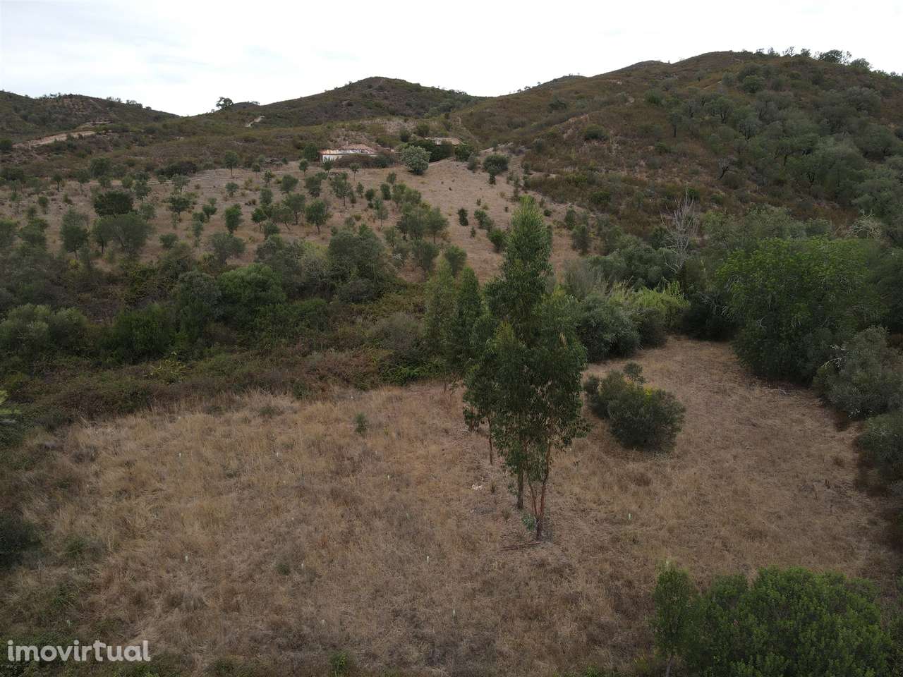 Herdade T3 Venda em São Barnabé,Almodôvar - Grande imagem: 5/18
