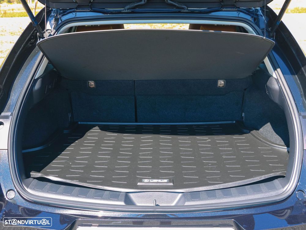 Lexus UX 250h Premium - 16