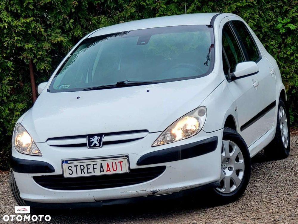 Peugeot 307 - 18