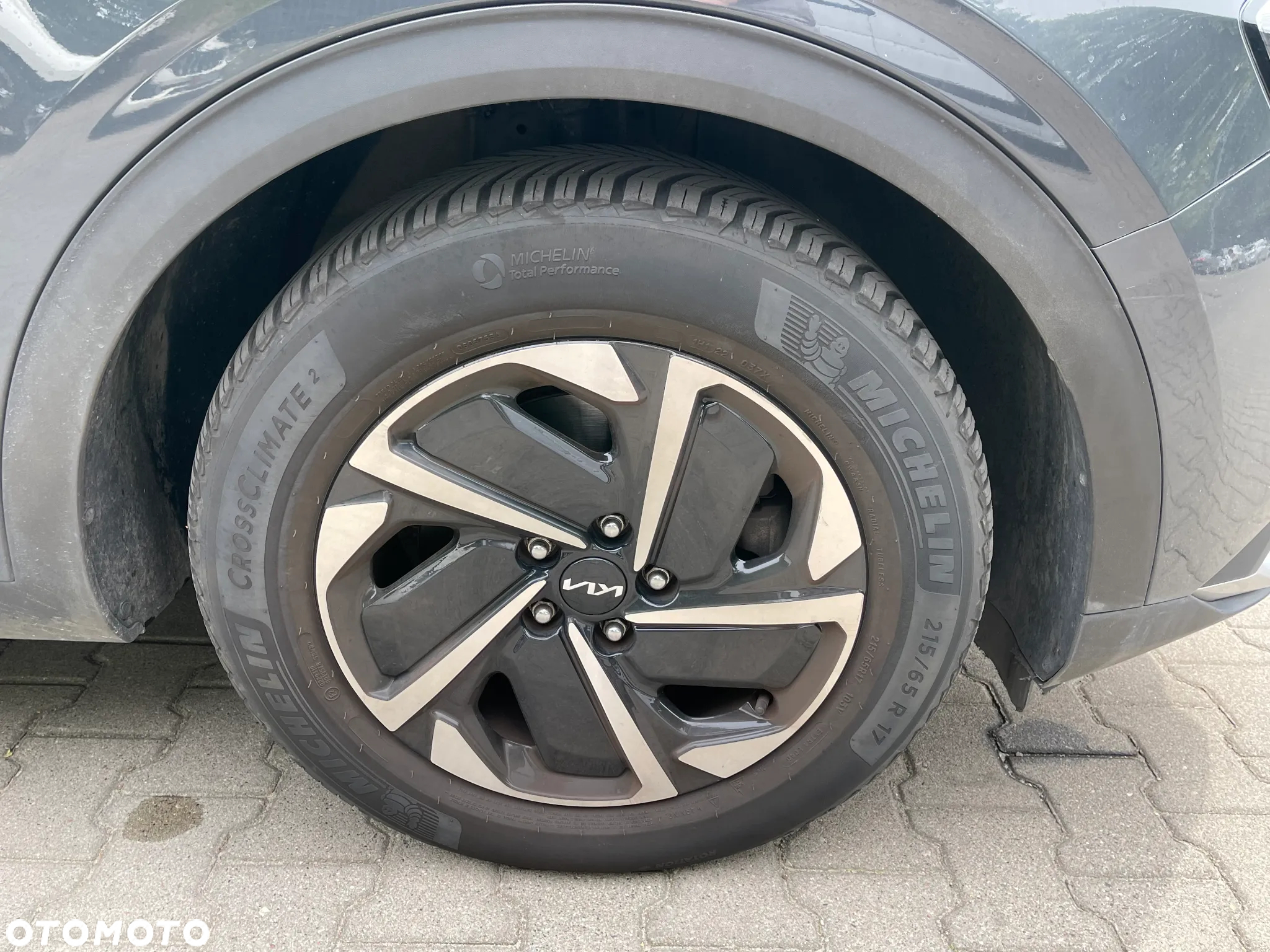 Kia Sportage 1.6 CRDI MHEV L Business Line 2WD DCT - 32