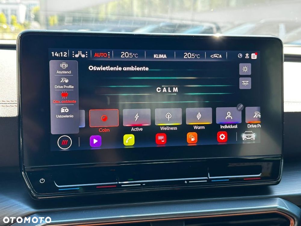 Cupra Formentor 1.5 TSI DSG - 23