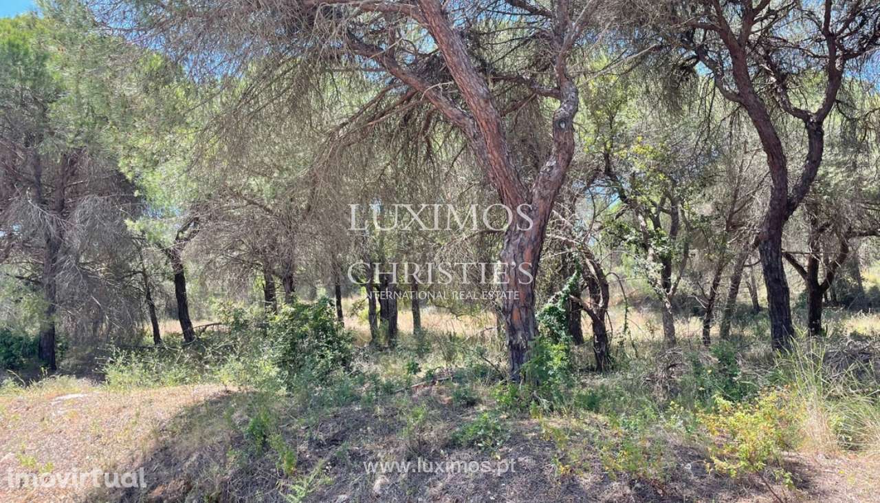 Terreno rústico para venda na Quinta do Lago, Algarve - Grande imagem: 5/10