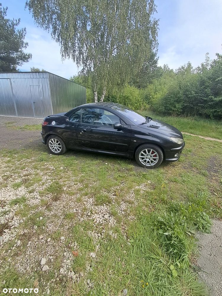 Peugeot 206 - 5