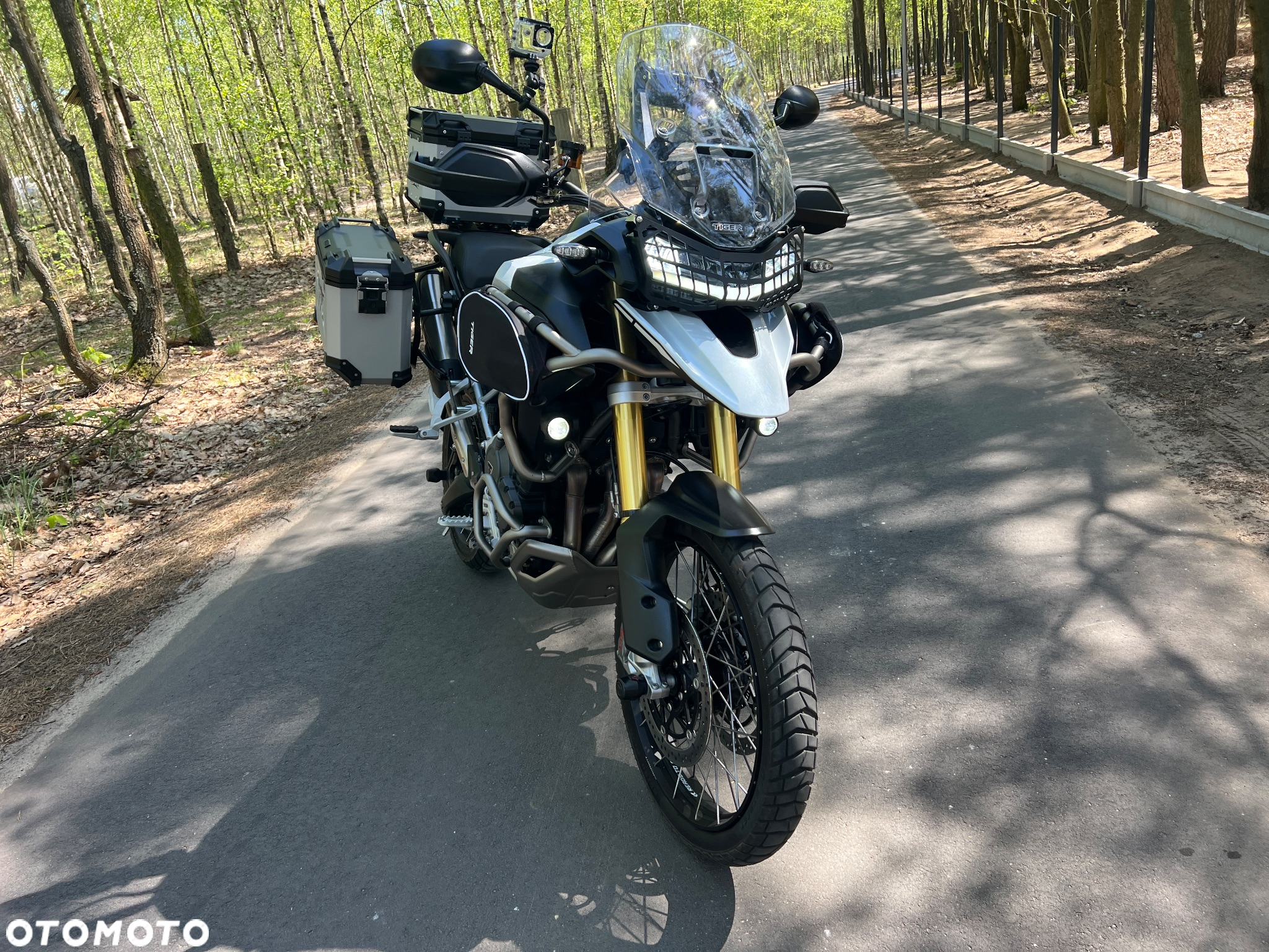 Triumph Tiger - 2