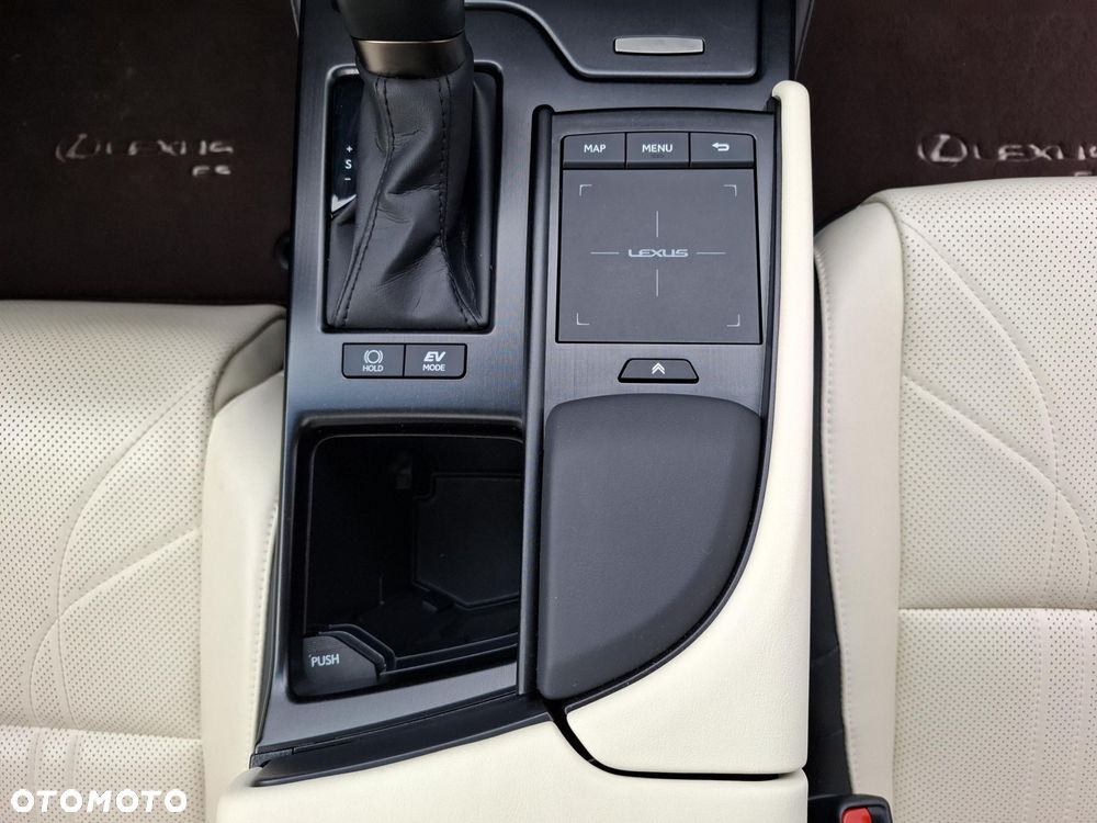 Lexus ES 300h Omotenashi - 26