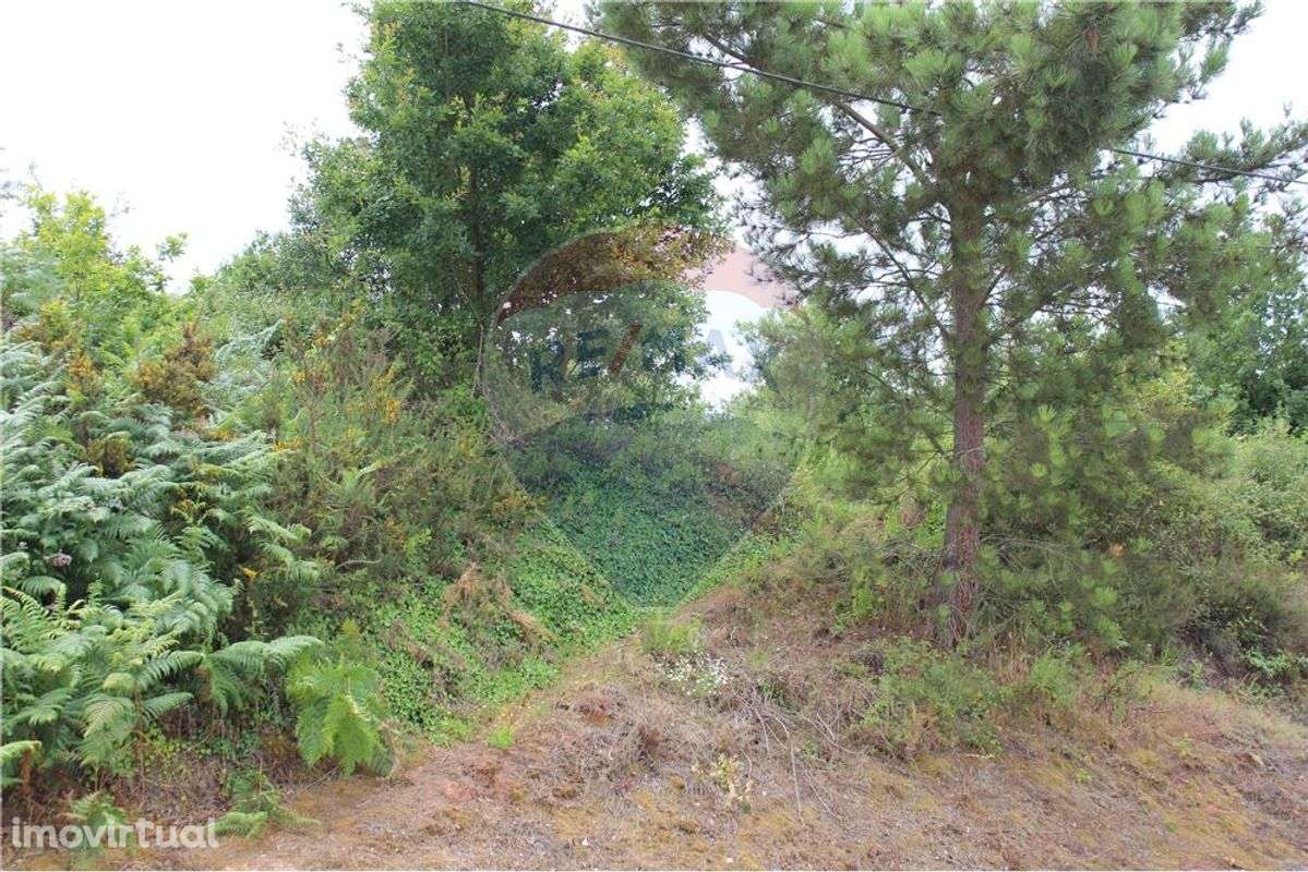 Terreno no Ameal,Taveiro - Grande imagem: 4/6