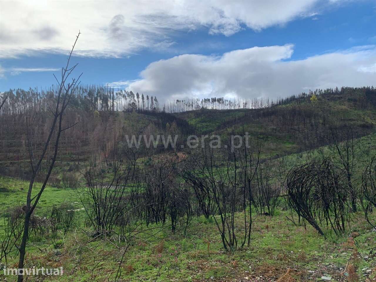 Terreno com ruina Estúdio / Fundão, Lavacolhos - Grande imagem: 5/13