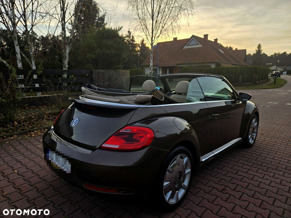 Volkswagen Beetle - 27