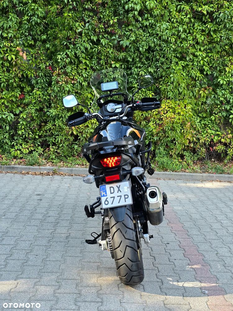 Suzuki DL - 5