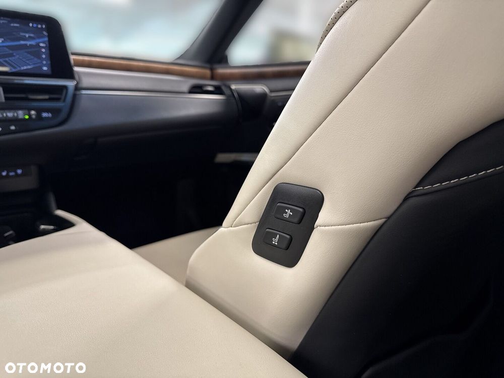 Lexus ES 300h Omotenashi - 16