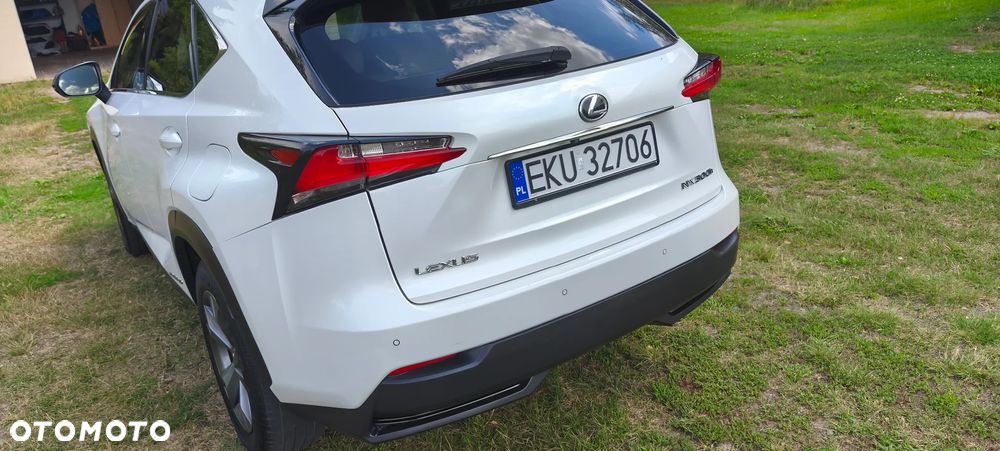 Lexus NX - 5