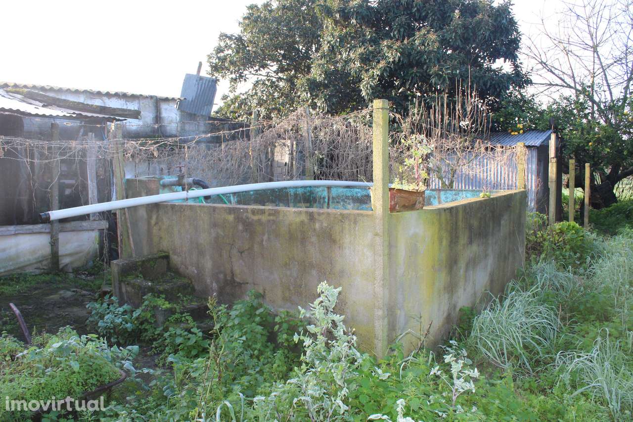 Terreno Industrial, Golegã - Grande imagem: 3/11