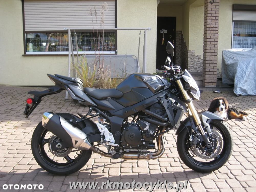 Suzuki GSX - 2