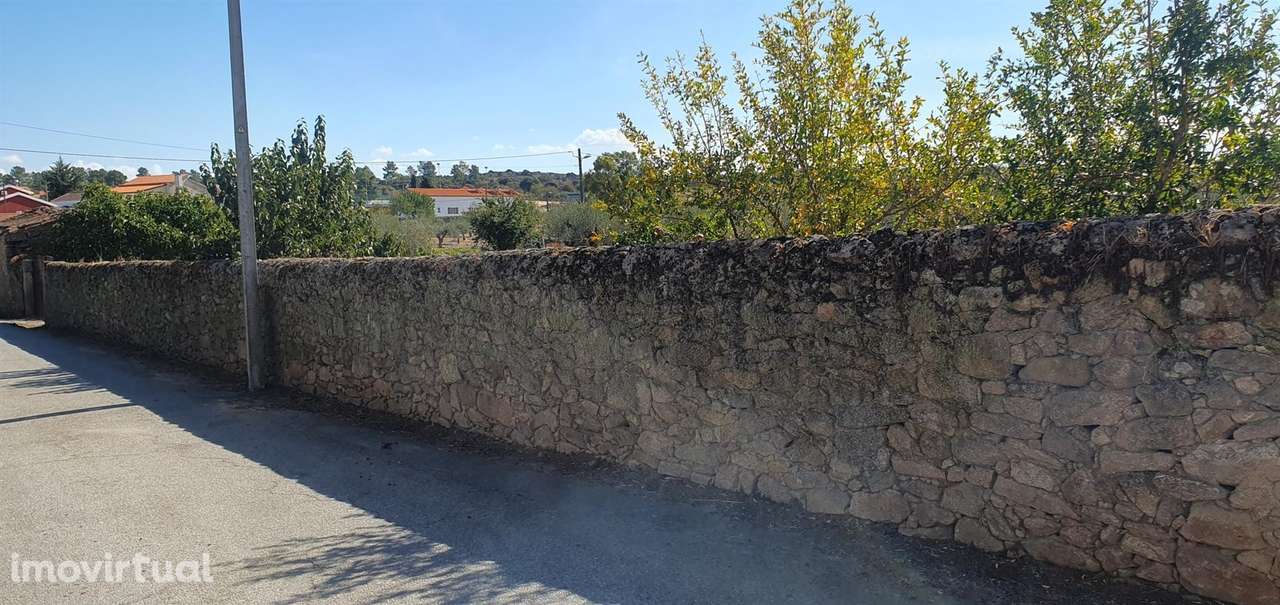 Terreno Rústico  Venda em Algodres, Vale de Afonsinho e Vilar de Amarg - Grande imagem: 5/6