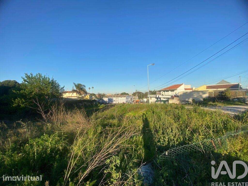 Terreno para construção em Charneca de Caparica e Sobreda - Grande imagem: 5/5
