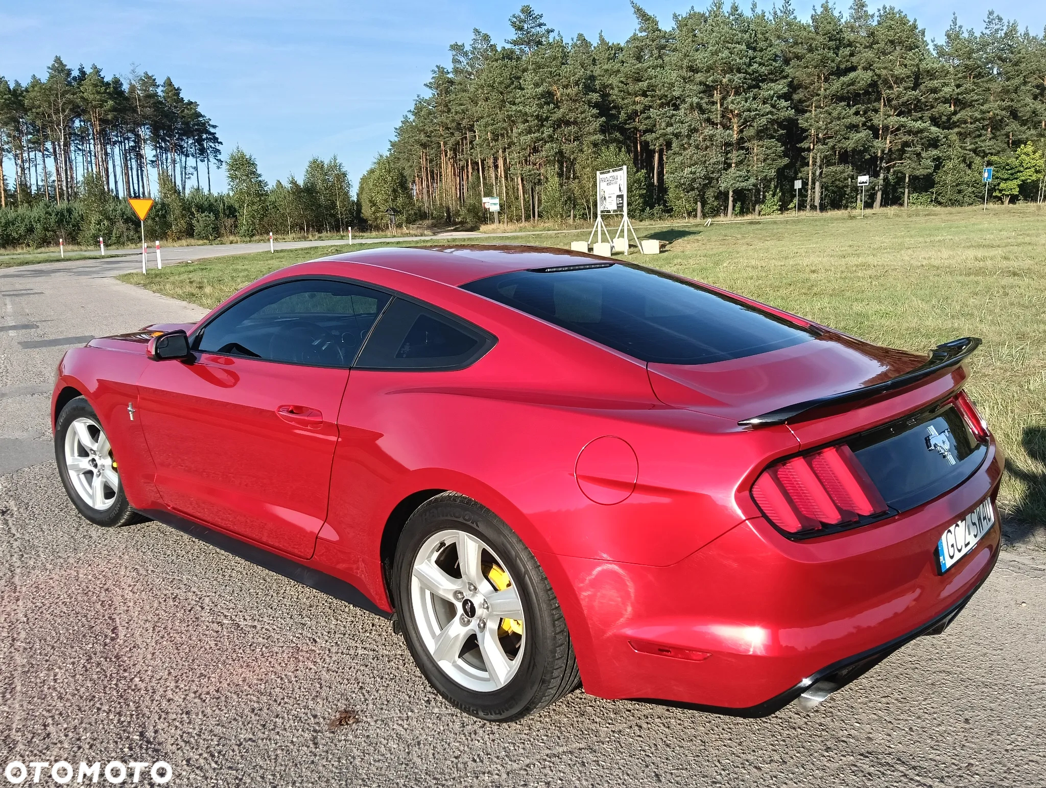 Ford Mustang - 10