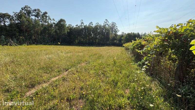 Terreno Rustico em Sandiães - Grande imagem: 5/12