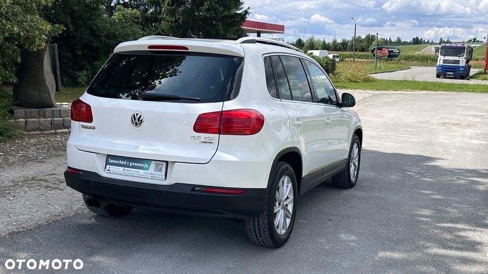 Volkswagen Tiguan - 19