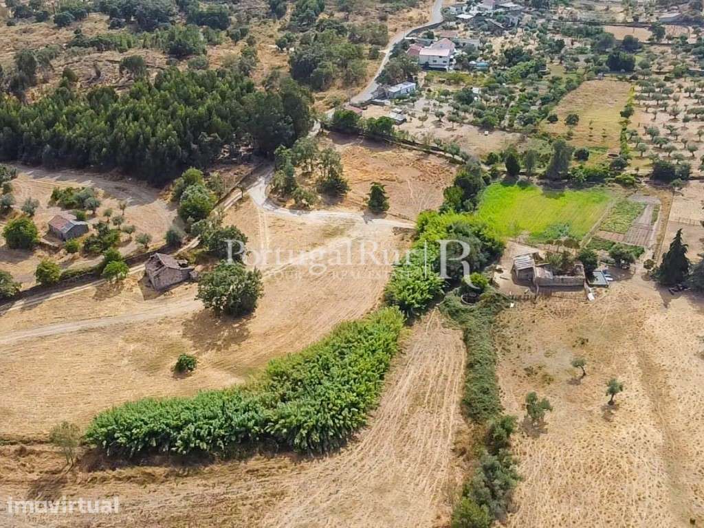 Propriedade com 33 ha e várias ruinas em Castelo Branco - Grande imagem: 2/60