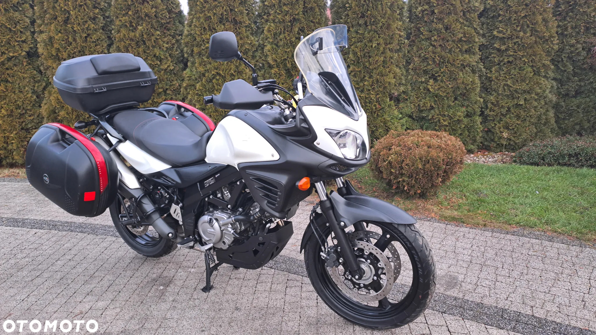 Suzuki DL - 7