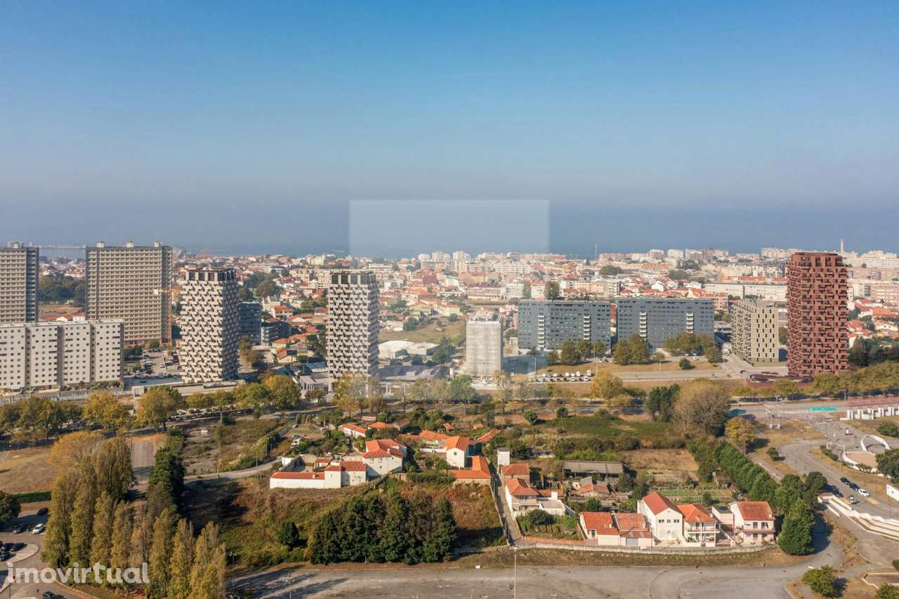 Flower Tower Camellia - Grande imagem: 4/6