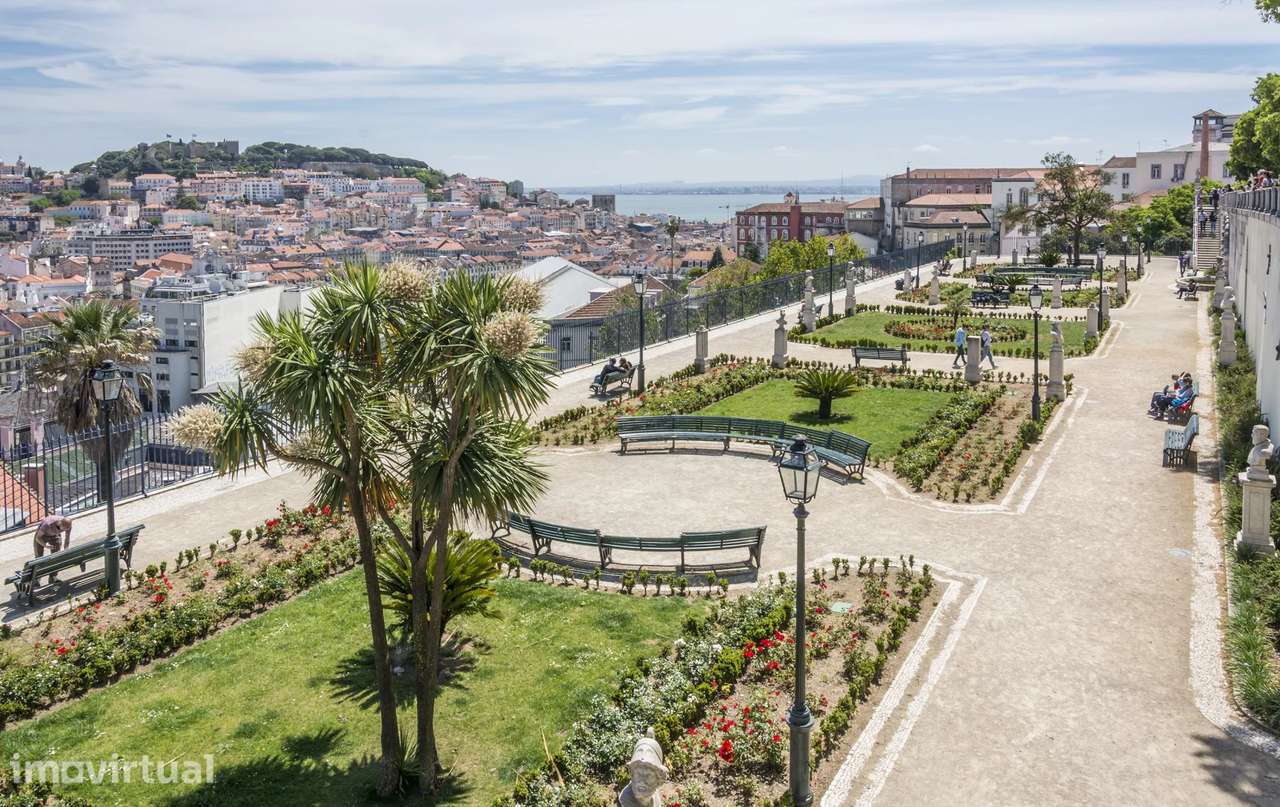 Charmoso estúdio em Lisboa com licença AL - Grande imagem: 2/24
