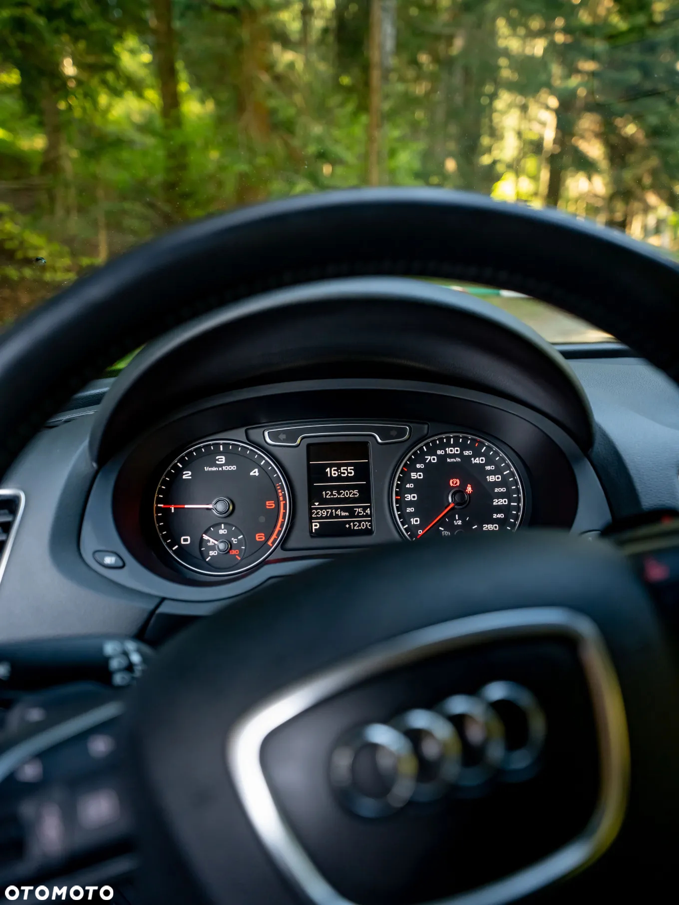 Audi Q3 - 13