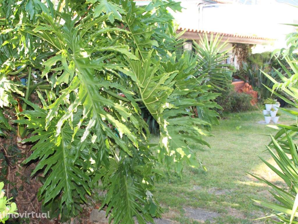 Moradia para venda com jardim e terreno em Salreu - Estarreja - Grande imagem: 3/20