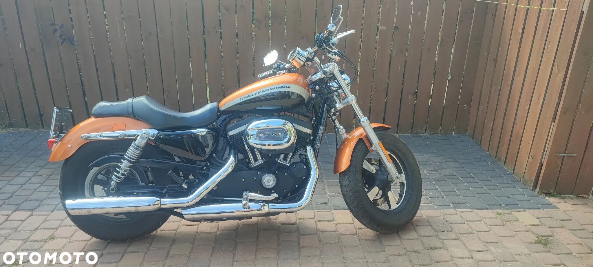 Harley-Davidson Sportster Custom 1200C - 19