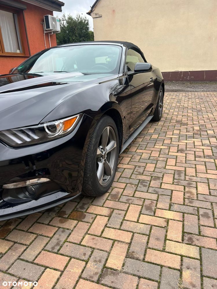 Ford Mustang 5.0 Ti-VCT V8 Black Shadow Edition - 20