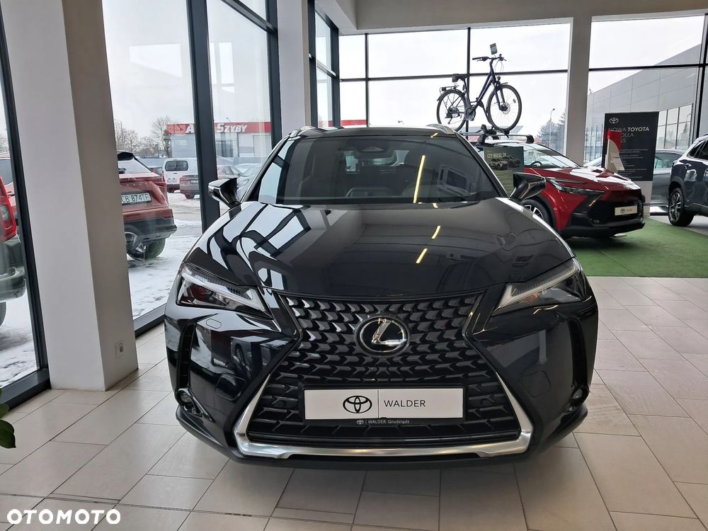 Lexus UX 300h Business - 10