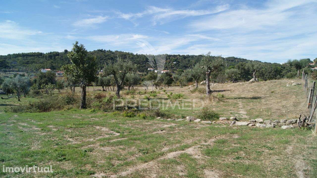 Terreno Rústico Reguengo- Portalegre - Grande imagem: 2/20