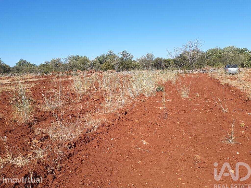 Terreno Agrícola em Alte - Grande imagem: 2/8