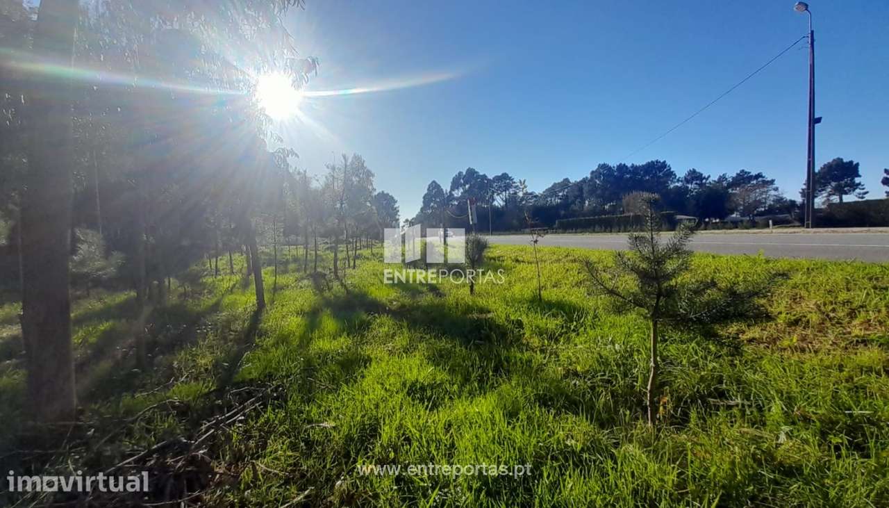 Terreno para venda, Âncora, Caminha - Grande imagem: 3/12
