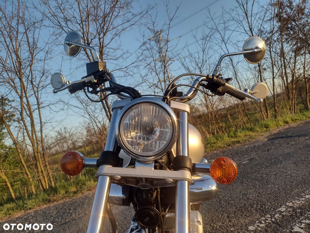 Suzuki Intruder - 16
