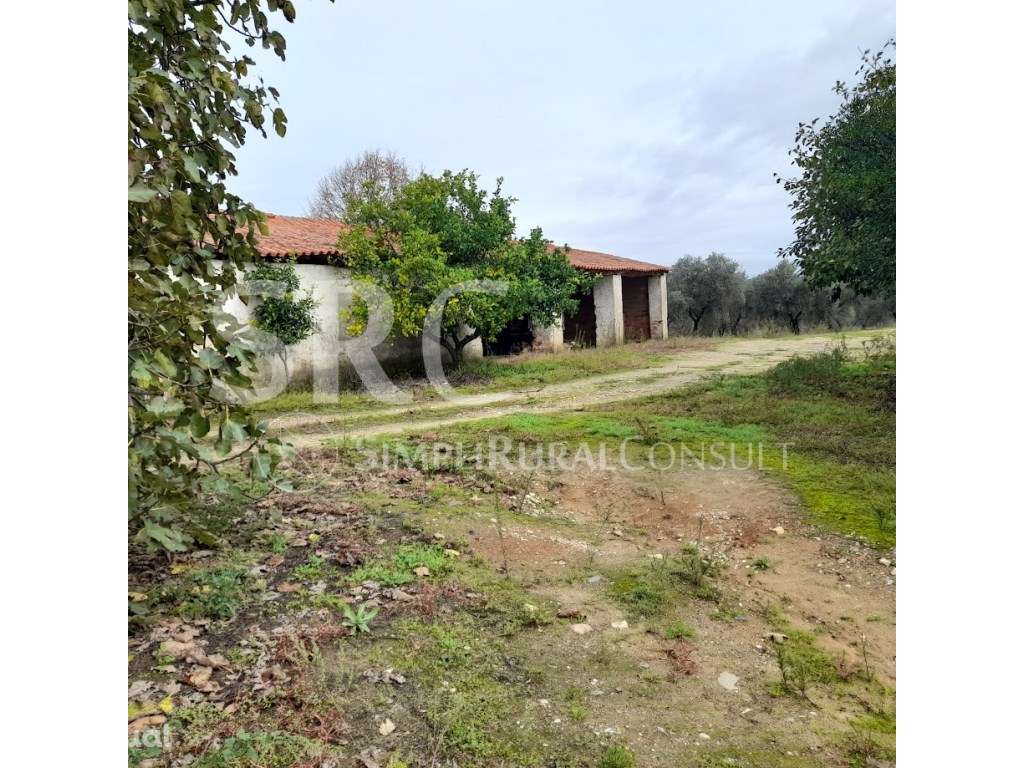 Quinta agrícola Valhascos/Sardoal - Grande imagem: 5/60