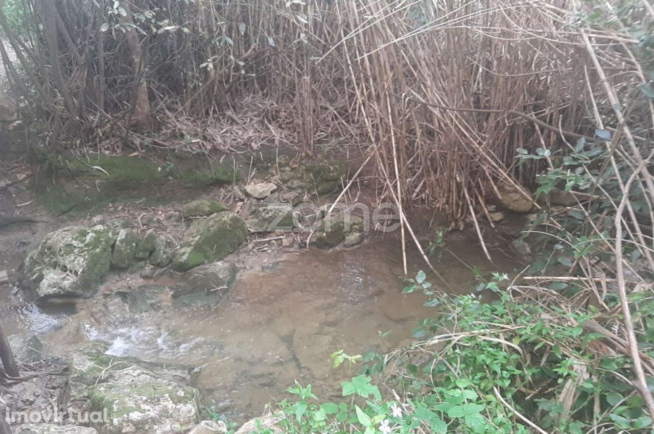 Terreno Rustico, União das freguesias de São das lampas e terrugem - Grande imagem: 5/8