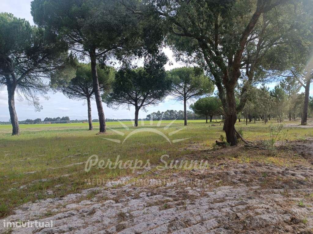Herdade Bicas - Comporta - Grande imagem: 2/25