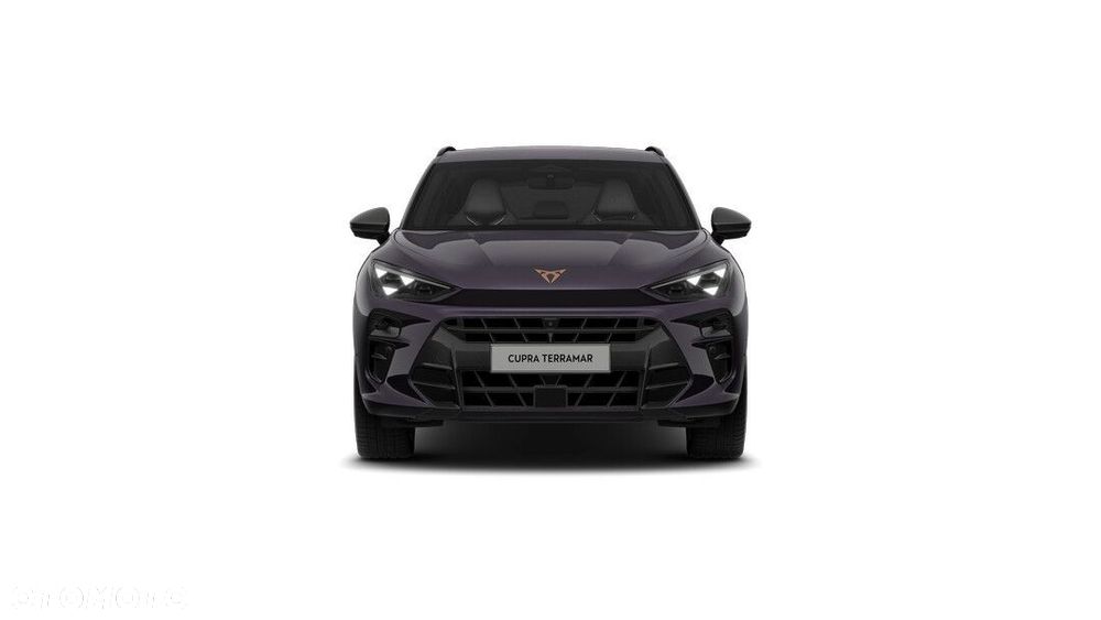 Cupra Terramar - 2