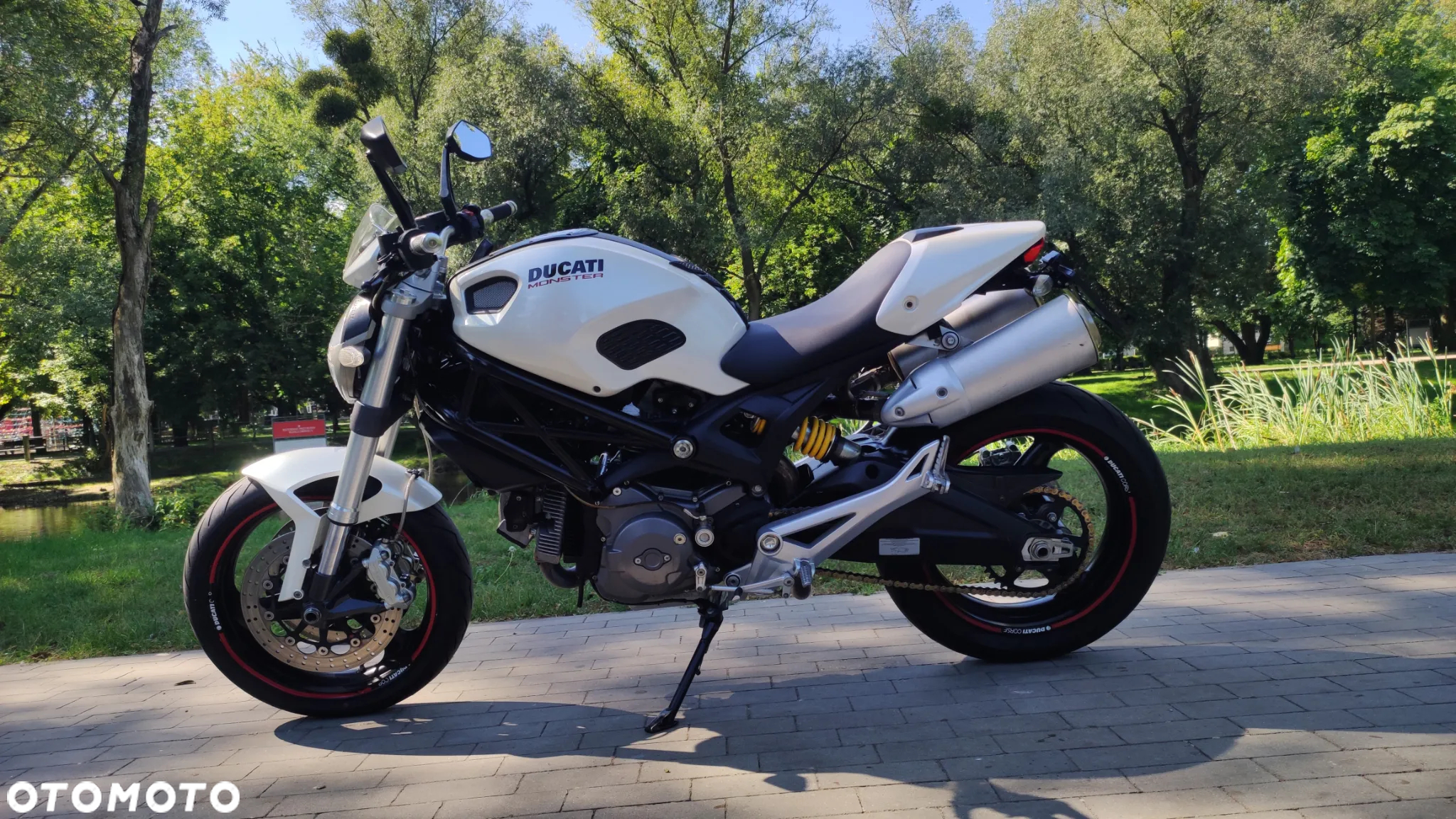Ducati Monster - 5