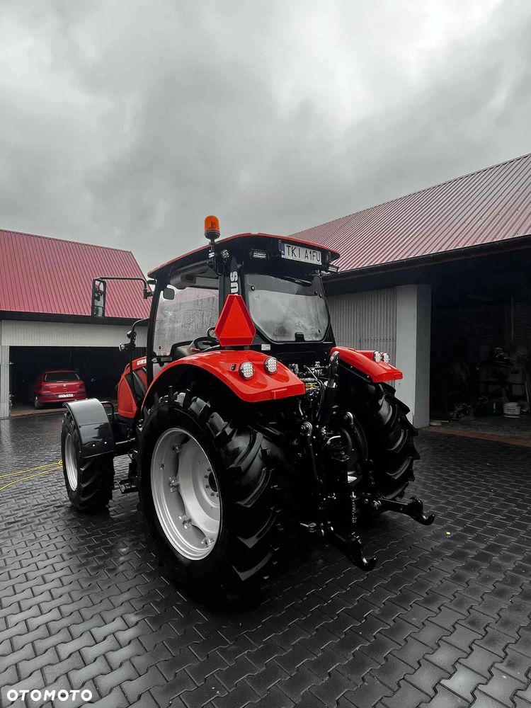 Ursus ursus c-3110 - 6