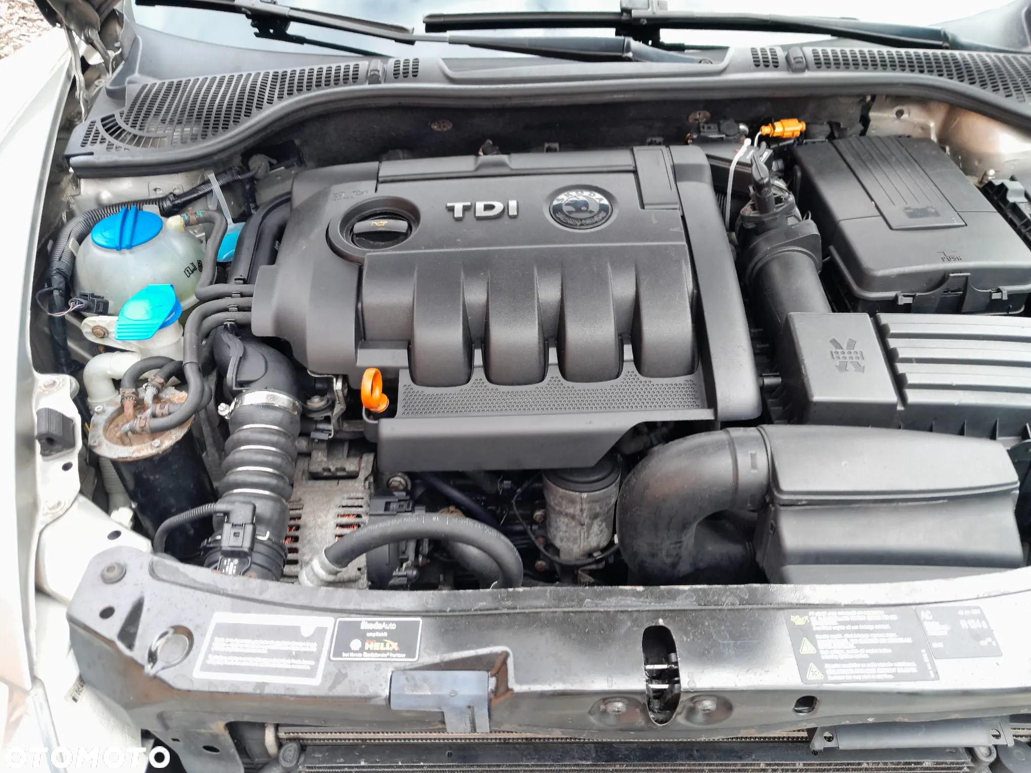Skoda Octavia 1.9 TDI DPF Elegance - 17