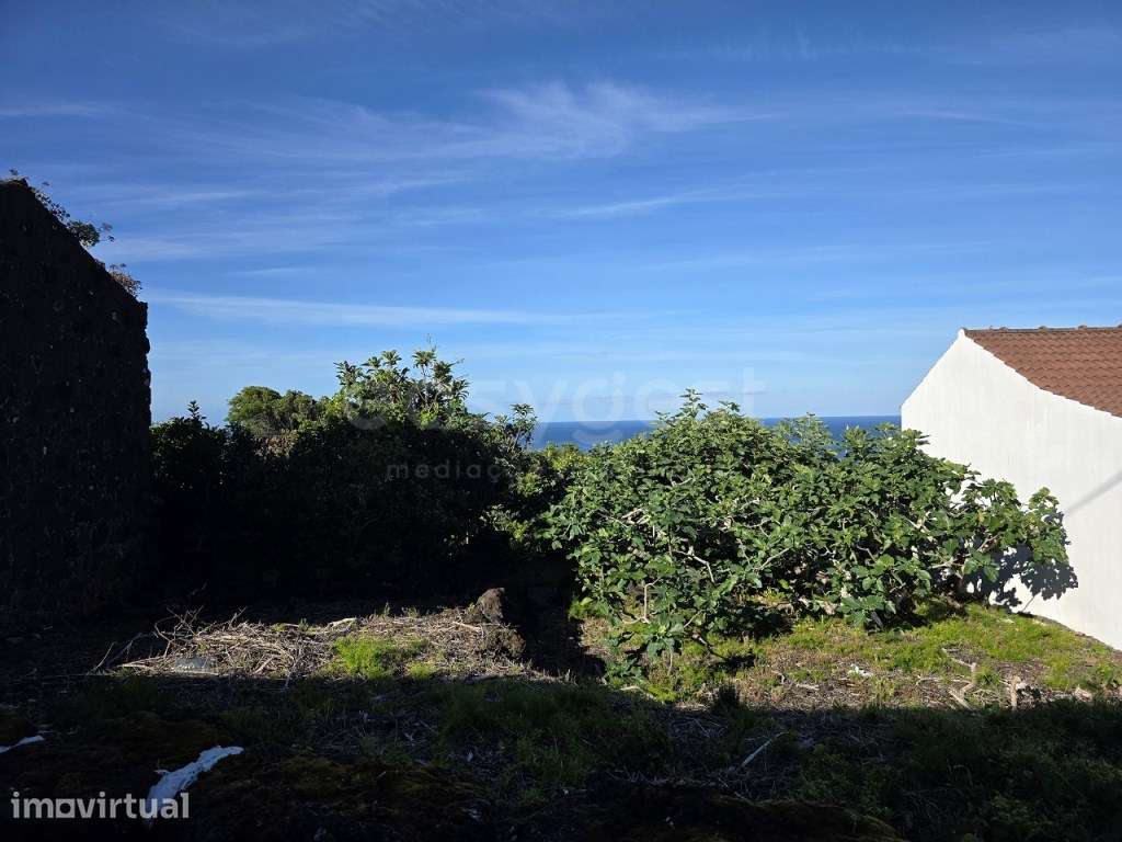 Terreno com Vista Mar e Montanha do Pico - S. Mateus, Madalena, Ilh... - Grande imagem: 4/7