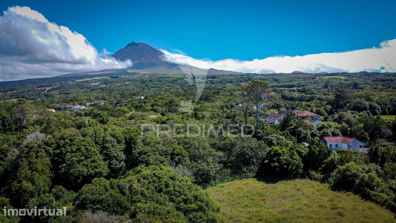 Moradia T3 para venda , Bandeiras, Madalena do Pico - Grande imagem: 5/36