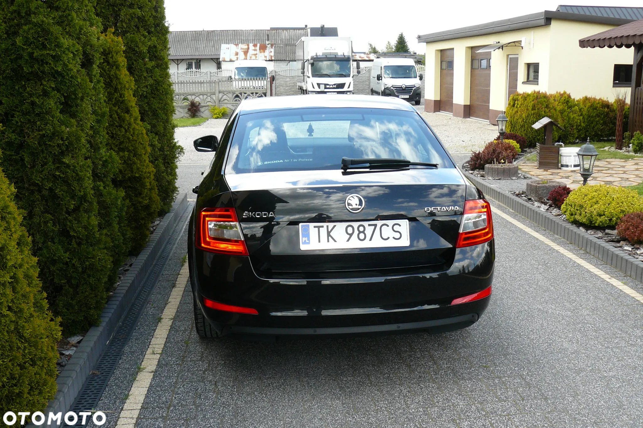 Skoda Octavia 2.0 TDI Elegance - 9