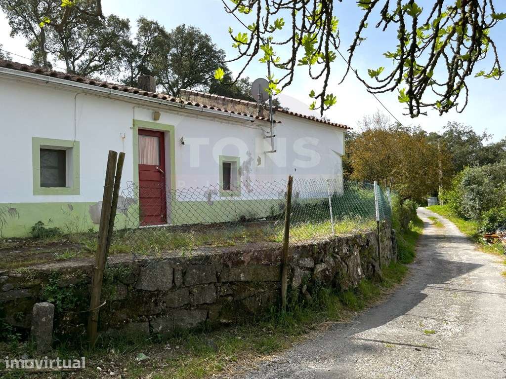 Serra de Monchique - Fotografia principal meramente ilustrativa, Im... - Grande imagem: 3/37